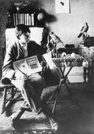 A young boy sits in a chair and touches a bird. It is unclear if the bird is dead or alive. He is ho